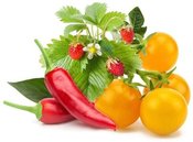Click & Grow Plant Pod Fruit & Veggie Mix 9pcs