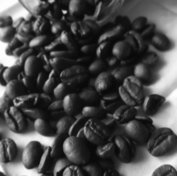 DSCF5223.JPG
