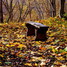 DSC_7330.JPG