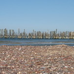 Baltijos jūra