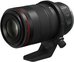 CANON RF 100MM F2.8L MACRO IS USM