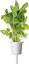 Click & Grow Plant Pod Salad Mix 9 шт.