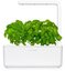 Click & Grow Smart Garden refill Basil 3pcs