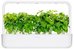 Click & Grow Smart Garden капсулы Коричный базилик 3 шт.