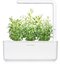 Click & Grow Smart Garden refill Hyssop 3pcs