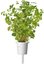 Click & Grow Smart Garden refill Oregano 3pcs
