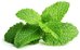 Click & Grow Smart Garden refill Peppermint 3pcs