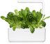 Click & Grow Smart Garden картридж Римский салат 3 шт.