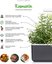Click & Grow Smart Garden refill розмарин 3 шт