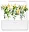 Click & Grow Smart Garden refill Yellow Chili 3pcs