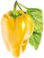 Click & Grow Smart Garden refill Yellow Sweet Pepper 3pcs