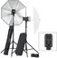 Elinchrom studio flash set D-Lite RX 2/2 Umbrella To Go (20838)