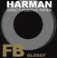 Ilford Harman Direct Positive FB 1K 5x7in/25
