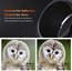 K&F Concept K&F Nikon to Sony Adapter for Nikon AI F Mount Lens to E NEX Mount Mirrorless Camera with Matting Varnish Design Compatible for Sony A6000