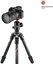 Manfrotto Befree GT Carbon Alpha MKBFRTC4GTA-BH
