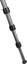 Manfrotto штатив Element Traveller Carbon Small MKELES5CF-BH
