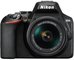 Nikon D3500 + 18-55mm AF-P DX VR