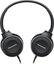 Panasonic headphones RP-HF100E-K, black