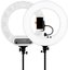 Caruba Round Vlogger 18 inch LED set PRO met tas   White