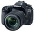 Canon EOS 80D + 18-135mm IS NANO USM