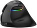 Wireless Vertical Mouse Delux M618Mini BT+2.4G RGB 4000DPI (black)