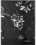 Zep Slip-In Album EB46200B Umbria Black for 200 Photos 10x15 cm