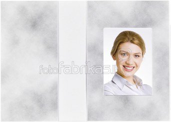 1x100 Daiber Folders Passport Photograph, grey, 36x50 mm