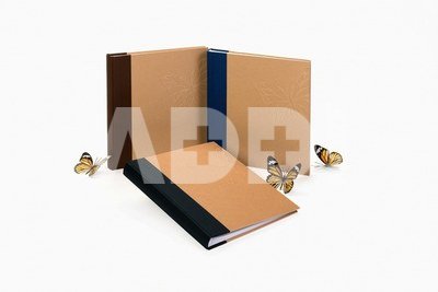 Album KPH FA-968 Big butterfly 29x32 60 pages | photo corners/splits | max 10x15 240