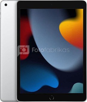 Apple 10.2inch iPad Wi-Fi 256GB Silver MK2P3FD/A