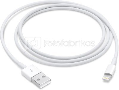 Apple cable Lightning 1m