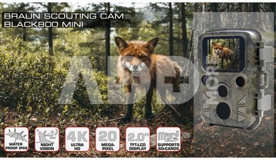 Braun Scouting Cam Black800 mini