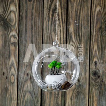 Burbulas stiklinis apvalus (4) YQO5115-4 dia15 cm SAVEX