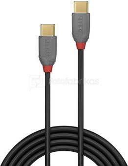 CABLE USB2 TYPE C 2M/ANTHRA 36872 LINDY