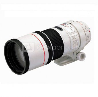 Canon 300mm f/4L EF IS USM