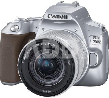 Canon EOS 250D 18-55mm IS STM Silver
