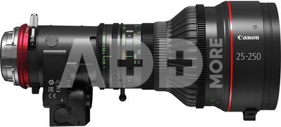 Canon CN10x25 IAS S/E1 (EF Mount)