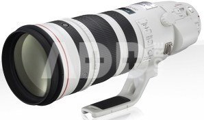 Canon 200-400mm F/4L EF IS USM Extender 1.4x