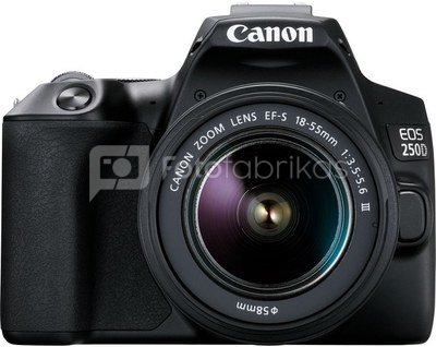 Canon EOS 250D + 18-55mm III + 16GB + Krepšys