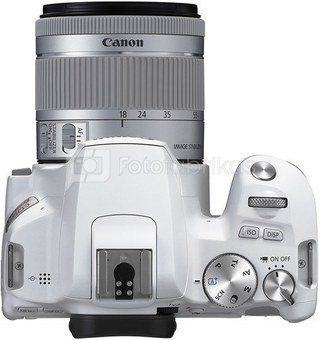 Canon EOS 250D + 18-55mm IS STM (baltas)