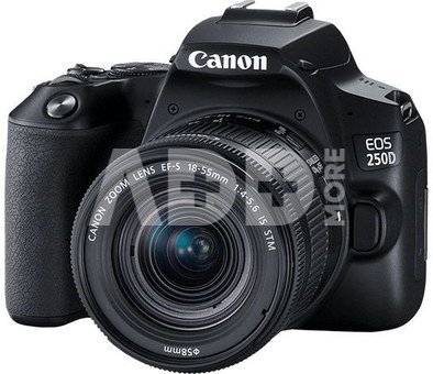 Canon EOS 250D BK 18-55S 3454C002