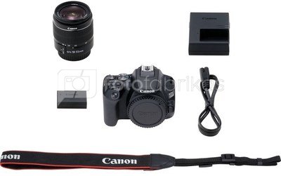 Canon EOS-250D kit 18-55 mm DC III