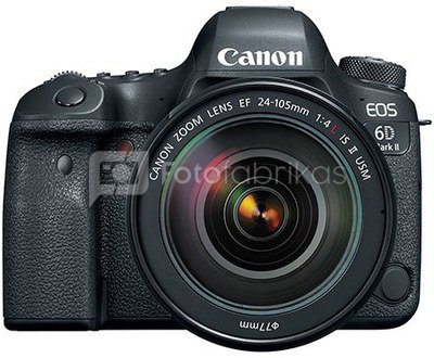 Canon EOS 6D Mark II + 24-105mm F/4L IS II USM