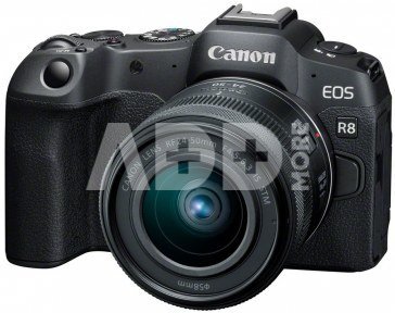 Canon EOS R8 + RF 24-50mm F4.5-6.3 IS STM + CashBack 300 €