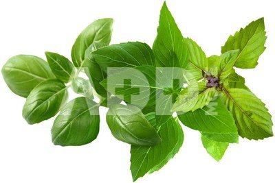 Click & Grow Plant Pod Basil Variety Mix 9pcs