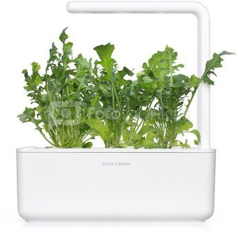 Click & Grow Smart Garden refill Руккола 3 штуки