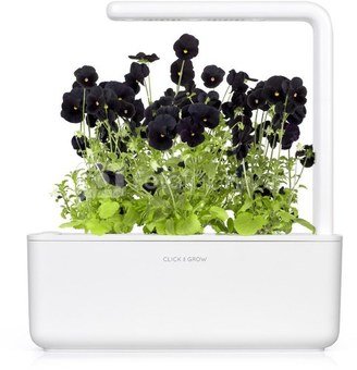 Click & Grow Smart Garden refill Black pansy 3шт