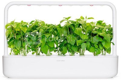 Click & Grow Smart Garden капсулы Коричный базилик 3 шт.