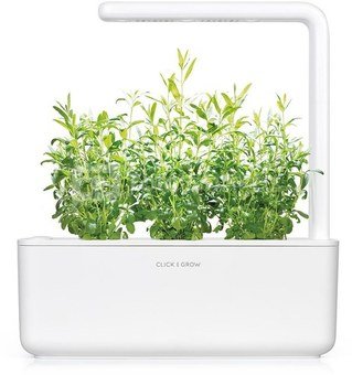 Click & Grow Smart Garden refill Hyssop 3pcs