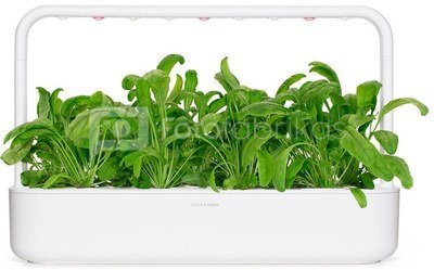 Click & Grow Smart Garden refill Mibuna 3pcs