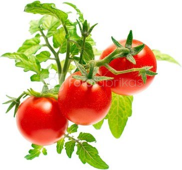 Click & Grow Smart Garden refill Mini Tomato 3pcs